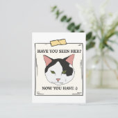 ペットが飼いたいと思った猫を見たことがあるか ポストカード (スタンド正面)