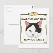 ペットが飼いたいと思った猫を見たことがあるか ポストカード (正面/裏面)