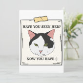 ペットが飼いたいと思った猫を見たことがあるか 招待状 (スタンド正面)