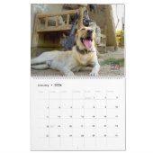 "ペットしない" – 米国軍隊ワーキング犬カレンダー カレンダー (1月 2026)