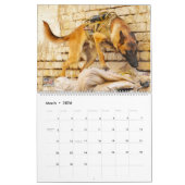 "ペットしない" – 米国軍隊ワーキング犬カレンダー カレンダー (3月 2026)