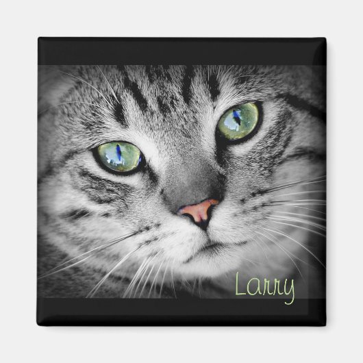 ペットでマグネットをパーソナライズお気に入りの! マグネット (正面)