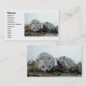 ペットとしてハリネズミ 名刺 (正面/裏面)