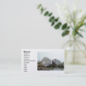 ペットとしてハリネズミ 名刺 (スタンド正面)