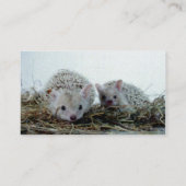 ペットとしてハリネズミ 名刺 (裏面)