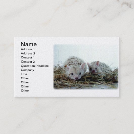 ペットとしてハリネズミ 名刺 (正面)