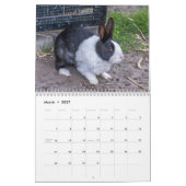 ペットと農場の動物 2026年カレンダー カレンダー (3月 2027)