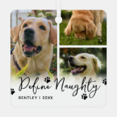 ペットのいけなクおもしろいラスを定義 メタルオーナメント (裏面)