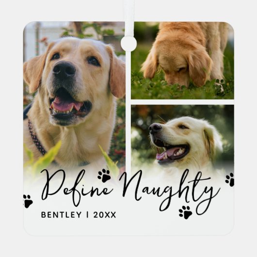 ペットのいけなクおもしろいラスを定義 メタルオーナメント (裏面)