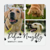 ペットのいけなクおもしろいラスを定義 メタルオーナメント (正面)