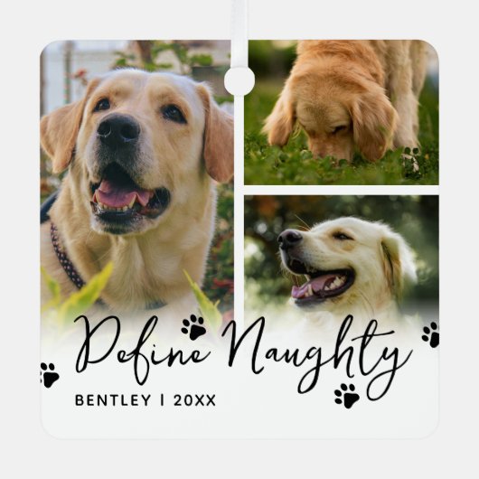 ペットのいけなクおもしろいラスを定義 メタルオーナメント (正面)