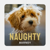 ペットのいけな写真のクリスマス メタルオーナメント (裏面)