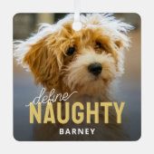 ペットのいけな写真のクリスマス メタルオーナメント (正面)