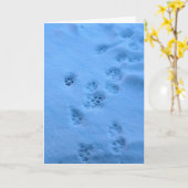 ペットのための悔やみや弔慰カード カード (黄色い花)