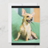 ペットのアナウンスファーベビー写真コラージュ 案内状 (裏面)