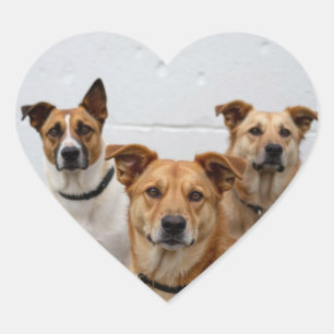 ペットのカスタム飼い主のハート用の犬の写真を追加 ハートシール