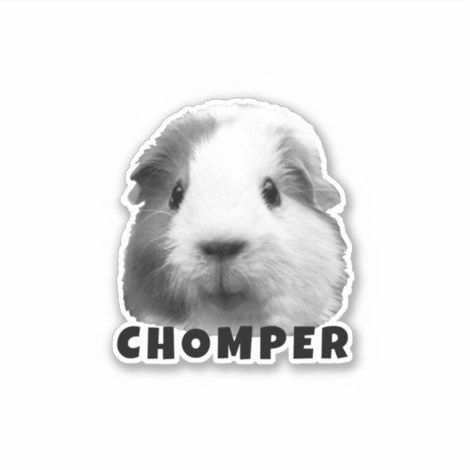 ペットのギニア写真と名前のアップロードパーソナライズされた シール (正面)