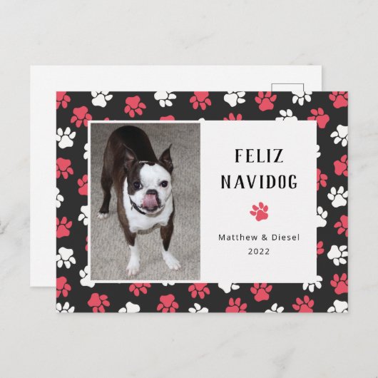 ペットのクリスマスカードのおもしろい写真 ポストカード (正面/裏面)
