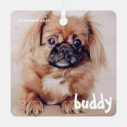 ペットのクリスマスシンプルかわいいハッピーホリデーグリーティング メタルオーナメント (正面)