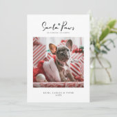 ペットのクリスマスフォトカード「サンタの足」フラットカード (スタンド正面)