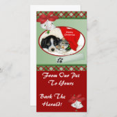 ペットのクリスマスフォトカード シーズンカード (正面/裏面)