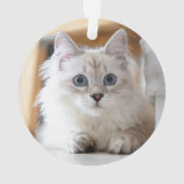 ペットのクリスマス猫の写真 オーナメント (裏面)