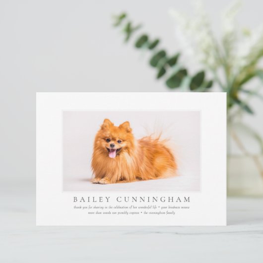 ペットのシック写真エレガントの記念モダン葬儀 サンキューカード (スタンド正面)