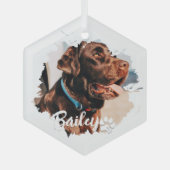 ペットのシンプルタイポグラフィモダン名と写真 ガラスオーナメント (正面)