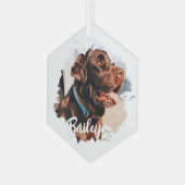 ペットのシンプルタイポグラフィモダン名と写真 ガラスオーナメント (正面左)