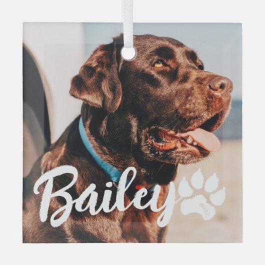 ペットのシンプルタイポグラフィモダン名と写真 ガラスオーナメント (正面)