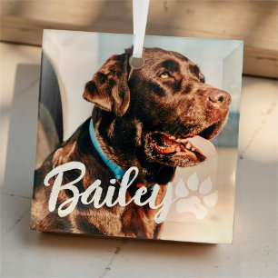 ペットのシンプルタイポグラフィモダン名と写真 ガラスオーナメント