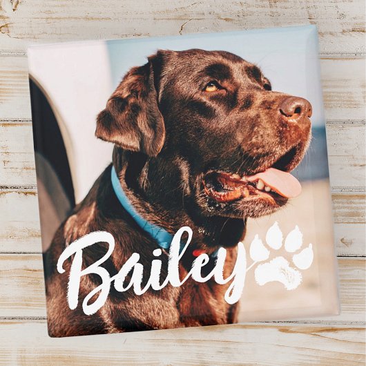 ペットのシンプルタイポグラフィモダン名と写真 マグネット