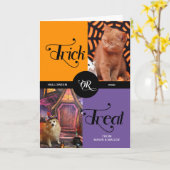 ペットのトリックまたはハロウィーン2枚の写真を扱う カード (黄色い花)