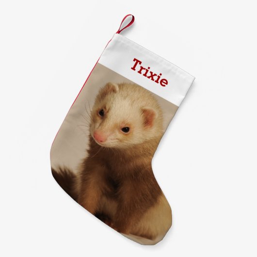 ペットのフェレットの恋人の写真と名前パーソナライズされた スモールクリスマスストッキング (正面 (吊り時))
