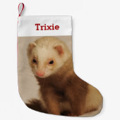 ペットのフェレットの恋人の写真と名前パーソナライズされた スモールクリスマスストッキング (正面)