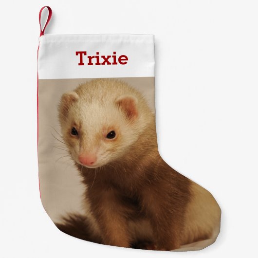 ペットのフェレットの恋人の写真と名前パーソナライズされた スモールクリスマスストッキング (正面)