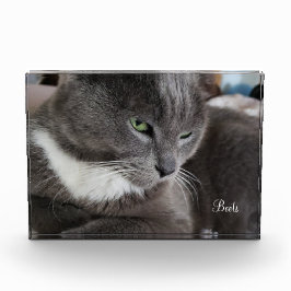 ペットのフォトブロック フォトブロック