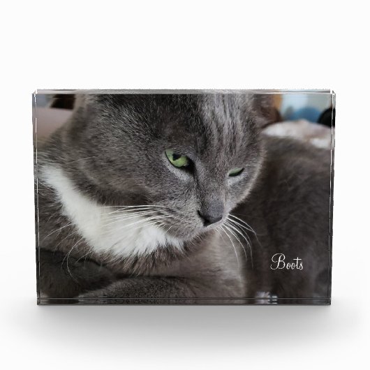 ペットのフォトブロック フォトブロック (正面)