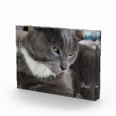 ペットのフォトブロック フォトブロック (右)