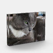 ペットのフォトブロック フォトブロック (左)