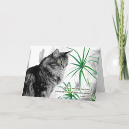 ペットのペットの対猫カード カード