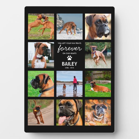 ペットのメモリアルギフト | 愛する記憶の写真 フォトプラーク (正面)