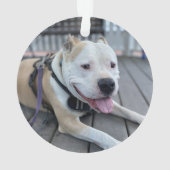 ペットのメモリアルシンボル 写真と名言 オーナメント (裏面)