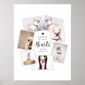 ペットのメモリアルパーソナライズマルチフォトコラージュ ポスター (正面)
