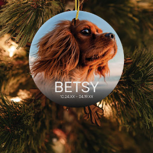 ペットのメモリアル クリスマスの記念品 セラミックオーナメント