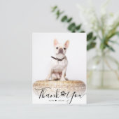 ペットのメモリアル フォト ありがとうカード ポストカード (スタンド正面)