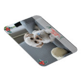 ペットのメリークリスマスフォトカード マグネット (右側)