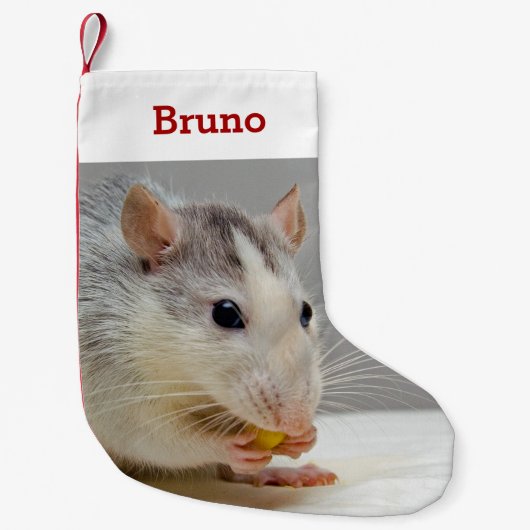 ペットのラット恋人の写真と名前パーソナライズされた スモールクリスマスストッキング (正面)