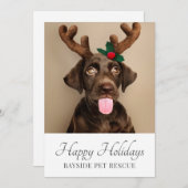 ペットのレスキュー写真クリスマス シーズンカード (正面/裏面)