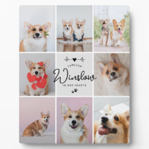 ペットのロストギフトドッグメモリアル8写真記念